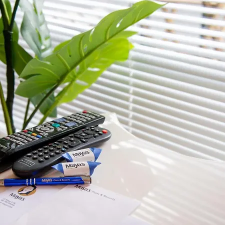 Maya's Flats & 38 - Walowa 23 Lejlighed *